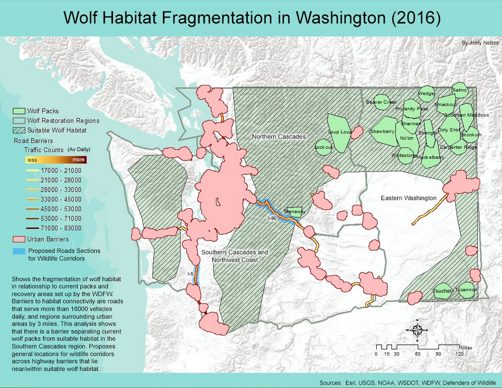 Wolf Habitat Fragmentation